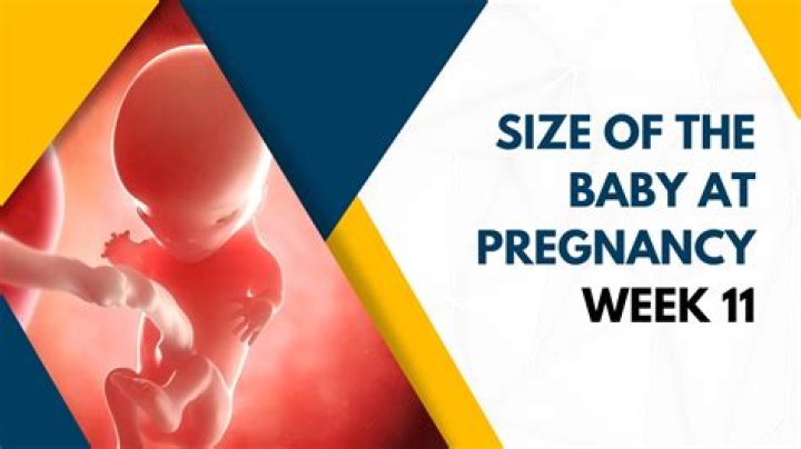 Can you feel your baby at 11 weeks?