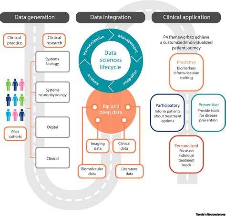 Does precision medicine use big data?