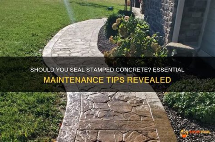 Does stamped concrete need maintenance?