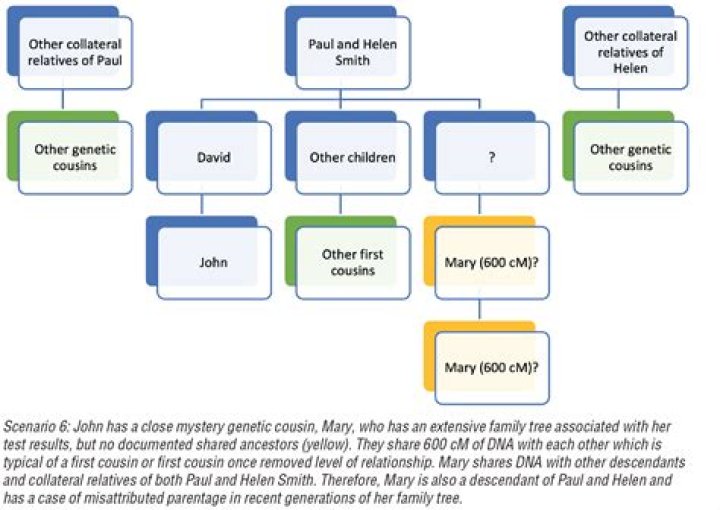 How common is misattributed paternity?