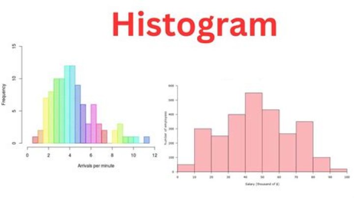 How do you explain a histogram in a presentation?