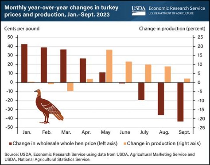 How much does a baby turkey cost?