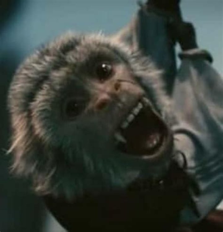 Is Crystal the monkey still alive?