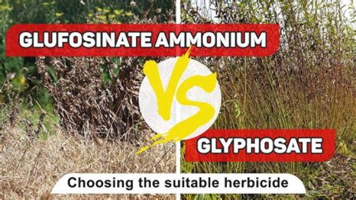 Is glufosinate ammonium the same as glyphosate?