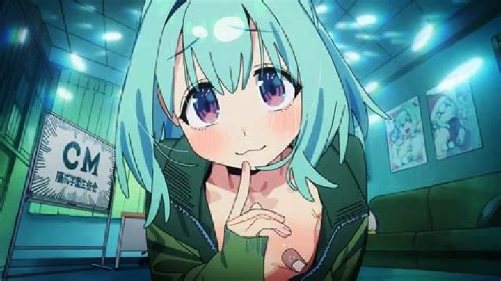 Is Seitokai a harem?