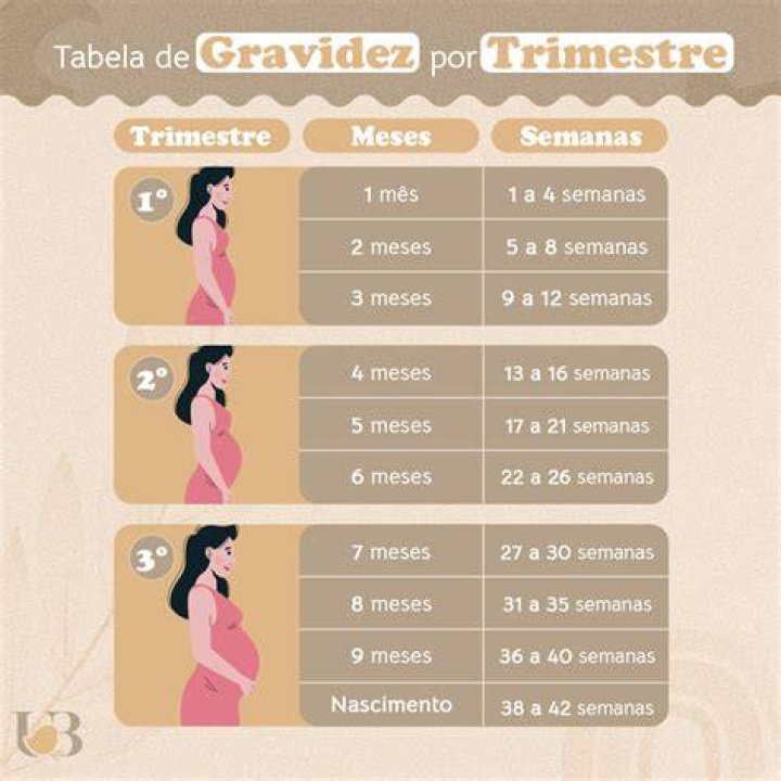 Quanto tempo posso engordar na gravidez?