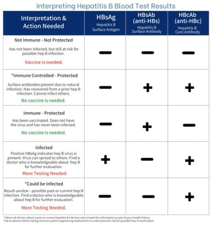 Should my hep B titer be positive or negative?