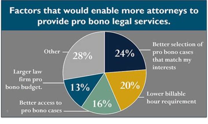 What are pro bono cases?