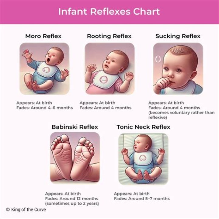 What are the 7 reflexes babies are born with?