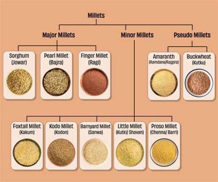 What are the five millets?
