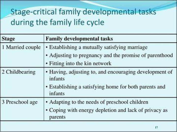 What are the stages of family development theory?