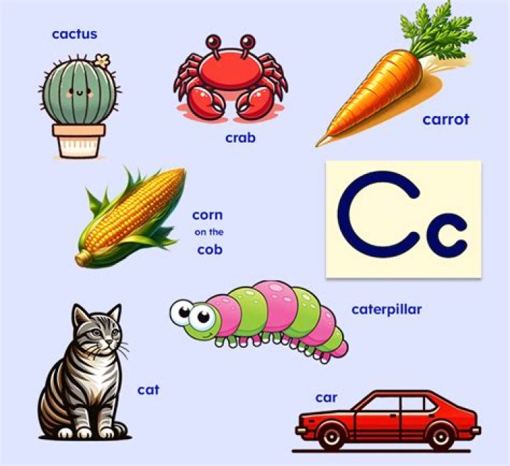 What can you bring to a party that starts with the letter C?
