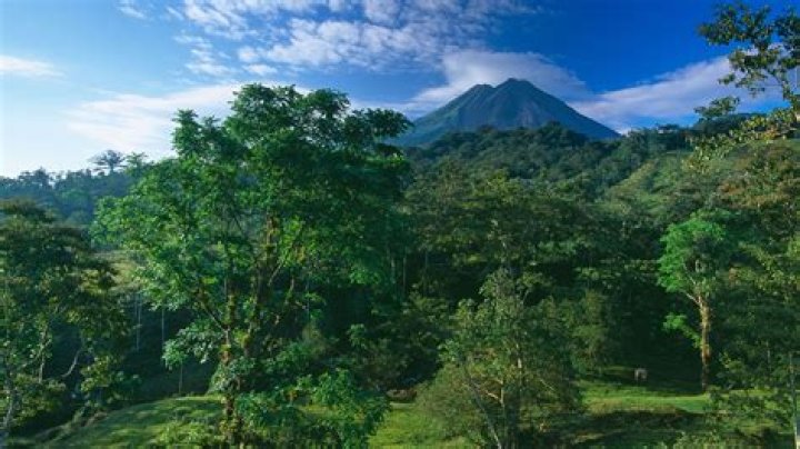 What city is Volcano National Park in?