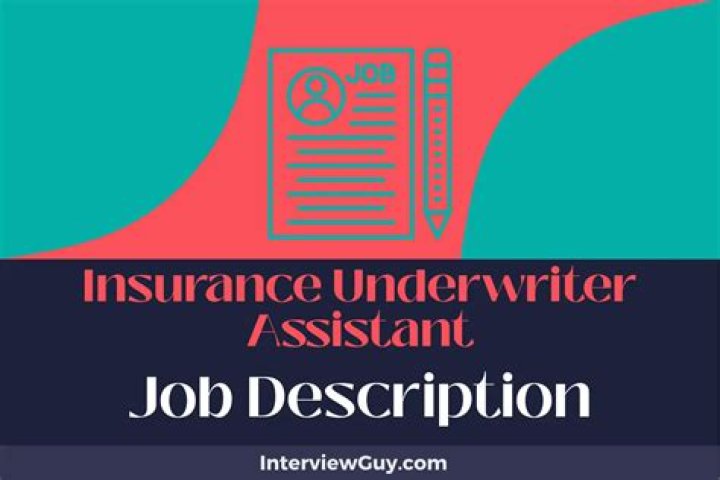 What does an insurance underwriter assistant do?