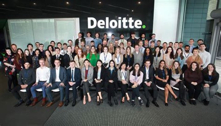 What does Deloitte actually do?