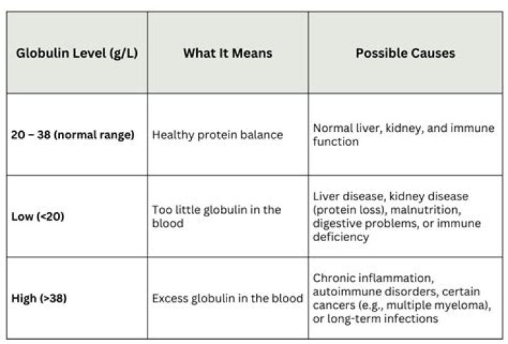 What does it mean when Beta 2 globulin is high?