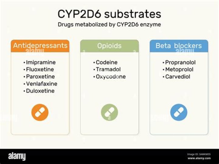What drugs are metabolized by COMT?