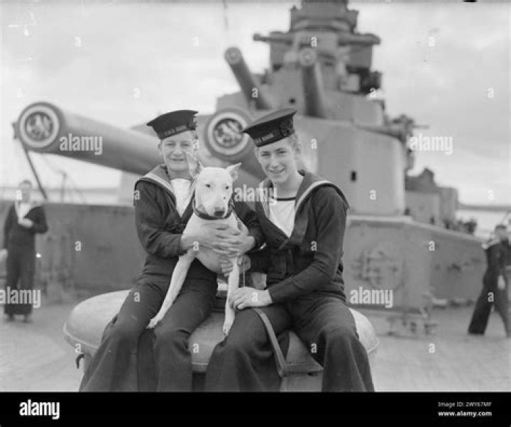 What happened to the 3 survivors of HMS Hood?