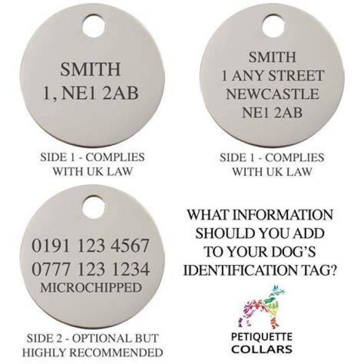 What information should be on a dog tag?