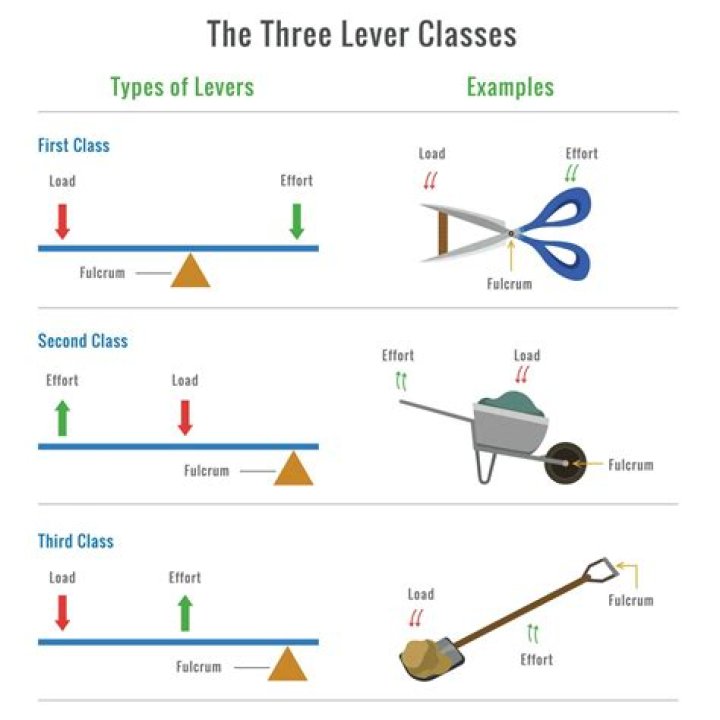 What is an example of cross-resistance?