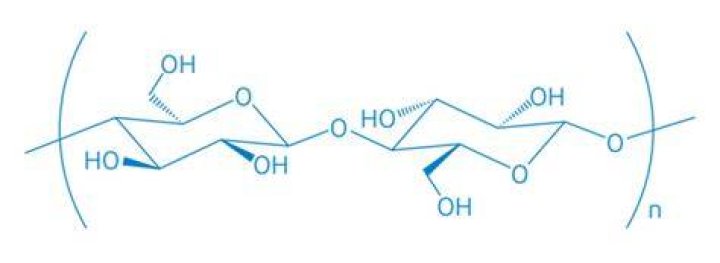 What is Methocel?