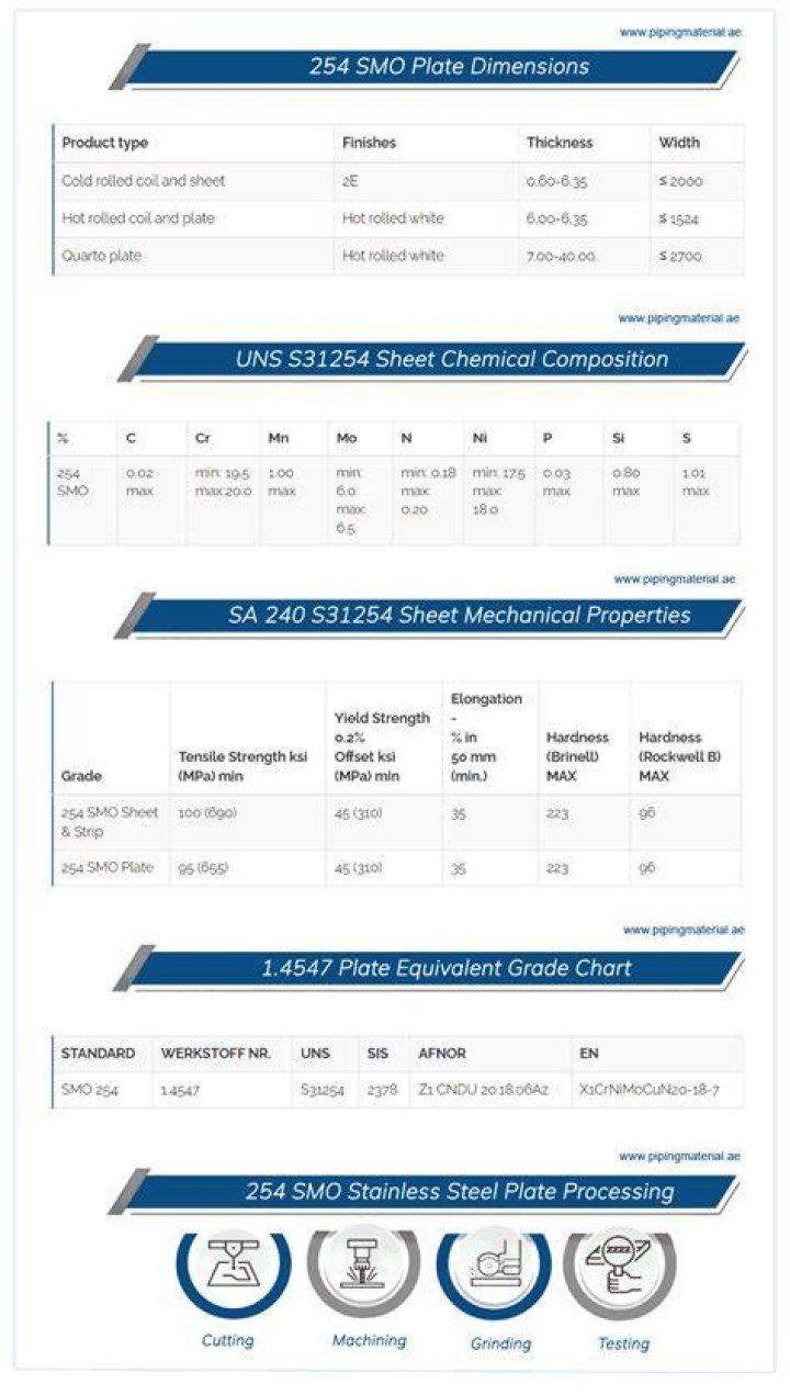 What is S31254 material?