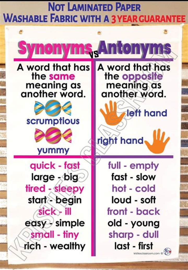 What is the antonym of premonition?