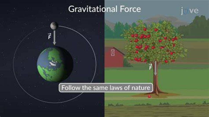 What is the meaning of Forta?