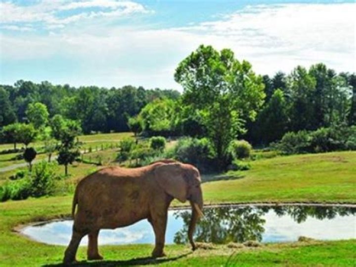What is the NC zoo known for?