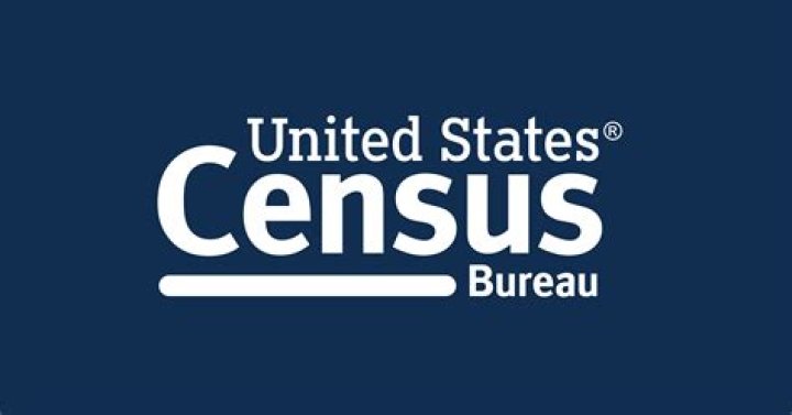 What is the official census website?