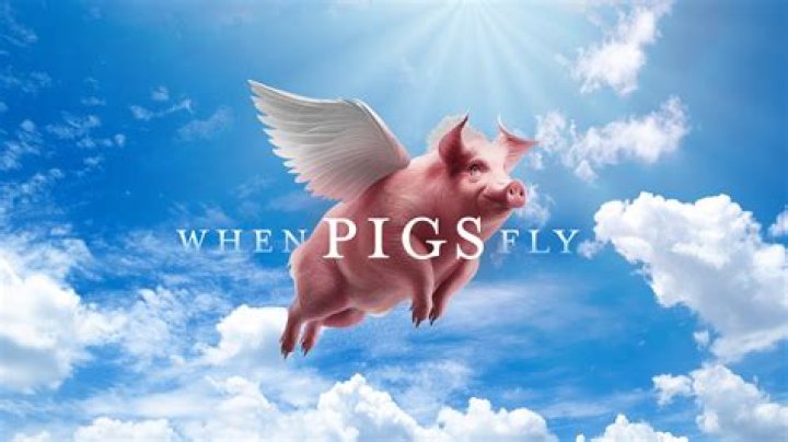 What is the saying about pigs flying?