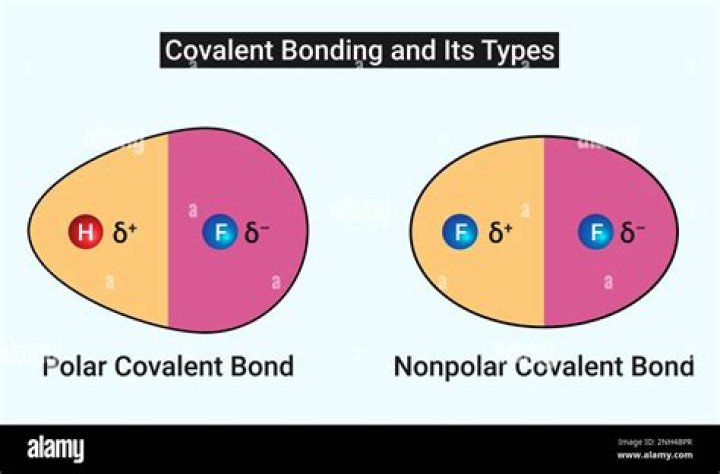 What is the structure of a polar covalent bond?