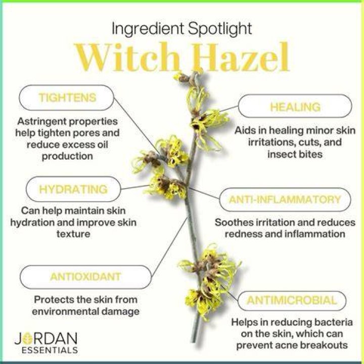 What is witch hazel extract good for?