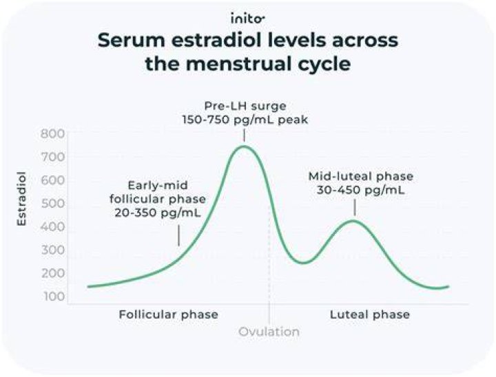 What should estradiol levels be on Day 6?