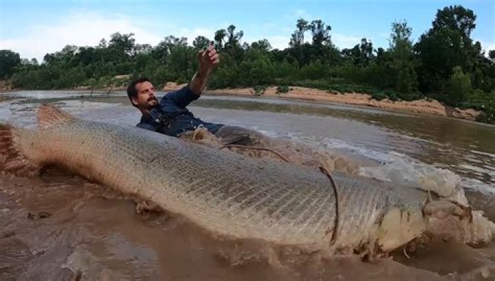 Where can I find gar on the Trinity River?