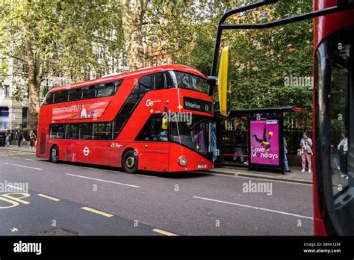 Where does the number 11 bus go in London?