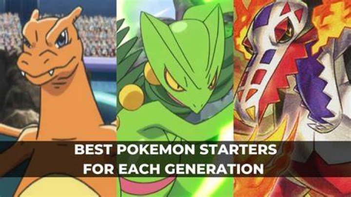 Which is the best starter in India?
